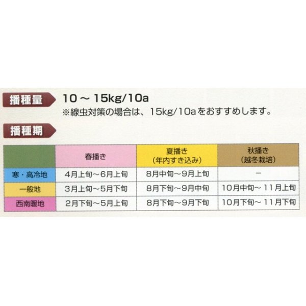 画像2: [緑肥]　エンバク　ヘイオーツ　1ｋｇ　雪印種苗（株） (2)