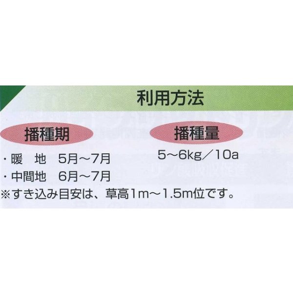 画像5: [緑肥]　ネマクリーン(マメ科)1kg　カネコ種苗(株) (5)