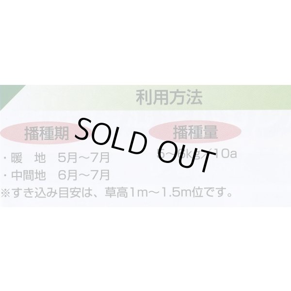 画像5: [緑肥]　ネマクリーン(マメ科)1kg　カネコ種苗(株) (5)