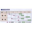 画像3: [緑肥]　ネマクリーン（マメ科）1ｋｇ　カネコ種苗(株） (3)