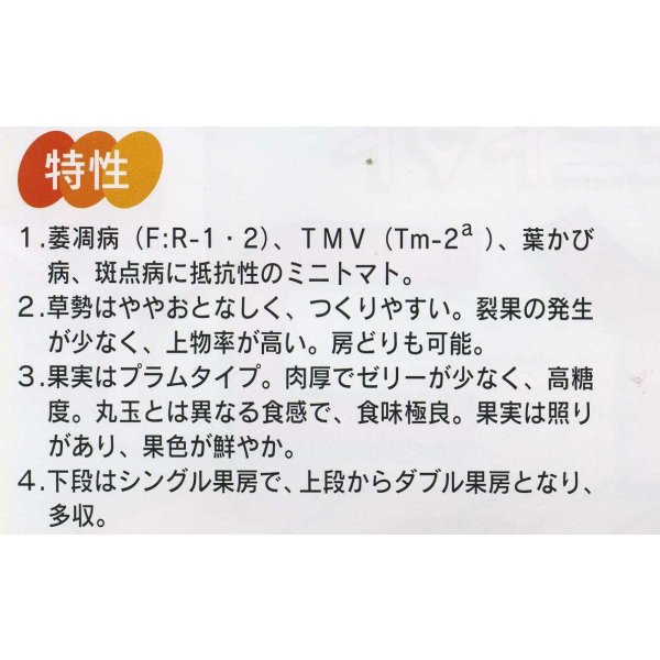 画像4: 送料無料 [トマト/ミニトマト] アイコ 1000粒 (株)サカタのタネ (4)
