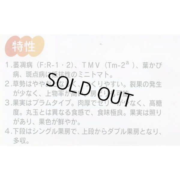 画像4: [トマト/ミニトマト]　アイコ　2L　ペレット種子　200粒　(株)サカタのタネ (4)