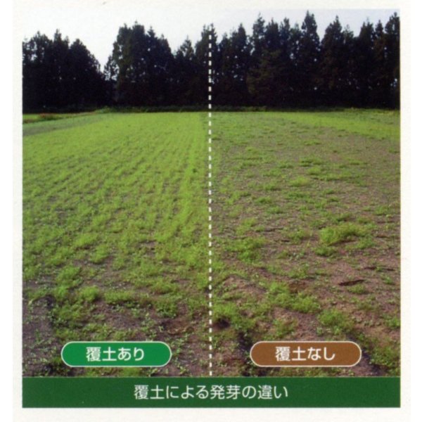 画像6: [緑肥]　ヘアリーベッチ　まめ助　1kg　雪印種苗(株) (6)