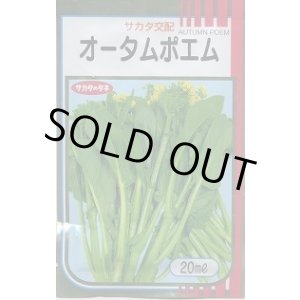 画像: 送料無料　[葉物]　オータムポエム　20ml　（株）サカタのタネ