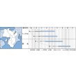 画像3: [キュウリ]　シャキット　350粒　タキイ種苗（株） (3)