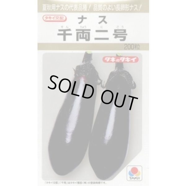 画像1: 送料無料　[なす]　千両二号　200粒　タキイ種苗(株) (1)