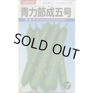 画像: 送料無料　[キュウリ]　青力節成五号　20ml(株)タカヤマシード
