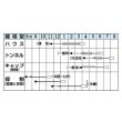 画像3: 送料無料　[かぼちゃ]　栗えびす　19粒　タキイ種苗(株)　DF (3)
