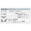 画像3: [かぼちゃ]　栗えびす　19粒　タキイ種苗（株）　DF (3)