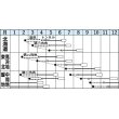 画像3: [キャベツ]　北ひかり　2000粒　タキイ種苗（株） (3)