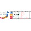 画像2: [かぼちゃ]　コリンキー　約10粒　サカタ交配　実咲 (2)