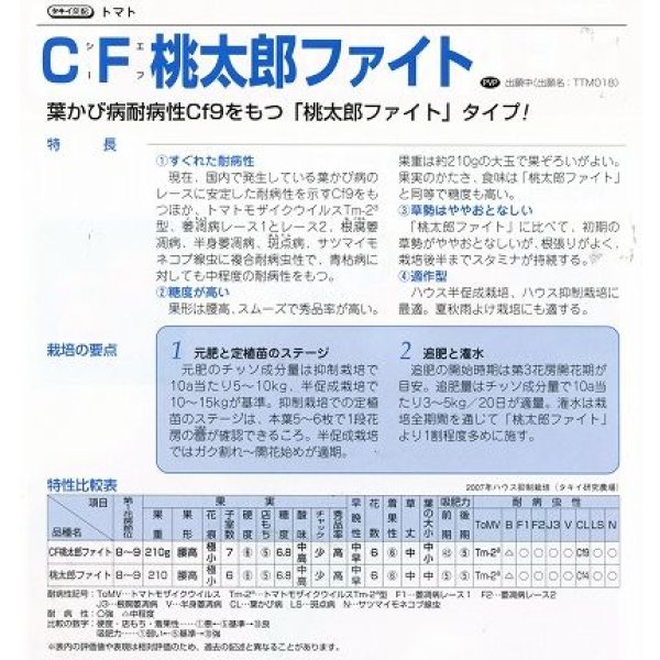 画像4: 送料無料 [トマト/桃太郎系] CF桃太郎ファイト 1000粒 貴種(コートしてません) タキイ種苗(株) (4)