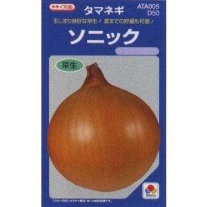 画像: 送料無料　[たまねぎ]　ソニック　20ml　タキイ種苗(株)
