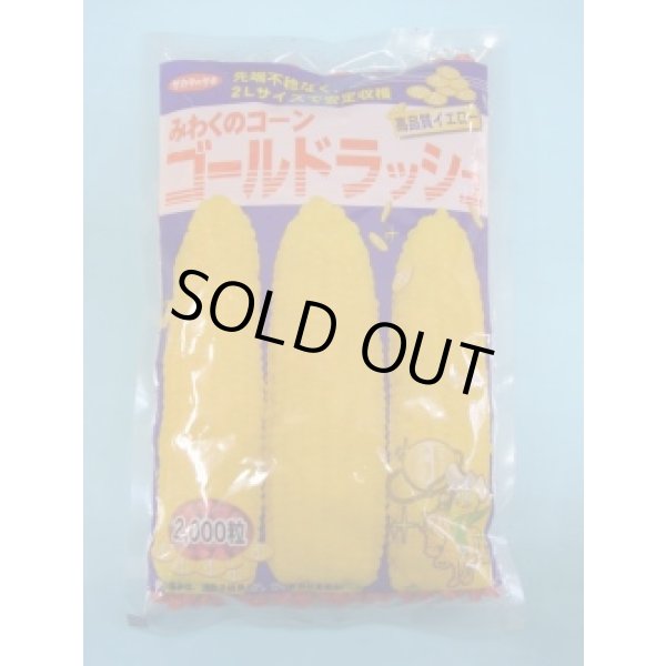 画像1: 送料無料[とうもろこし]　ゴールドラッシュ　2000粒　(株)サカタのタネ (1)