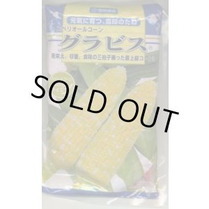 画像: [とうもろこし]　グラビス　2000粒　雪印種苗（株）