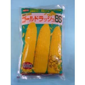 画像: [とうもろこし] ゴールドラッシュ86 2000粒 (株)サカタのタネ