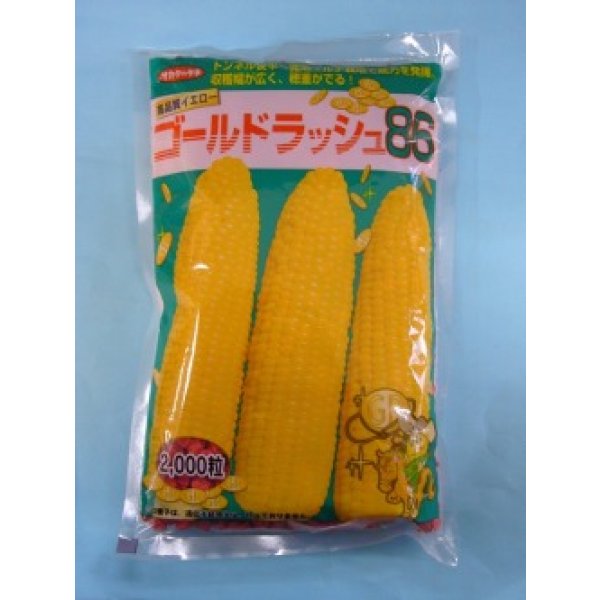 画像2: 送料無料 [とうもろこし] ゴールドラッシュ86 200粒 (株)サカタのタネ (2)