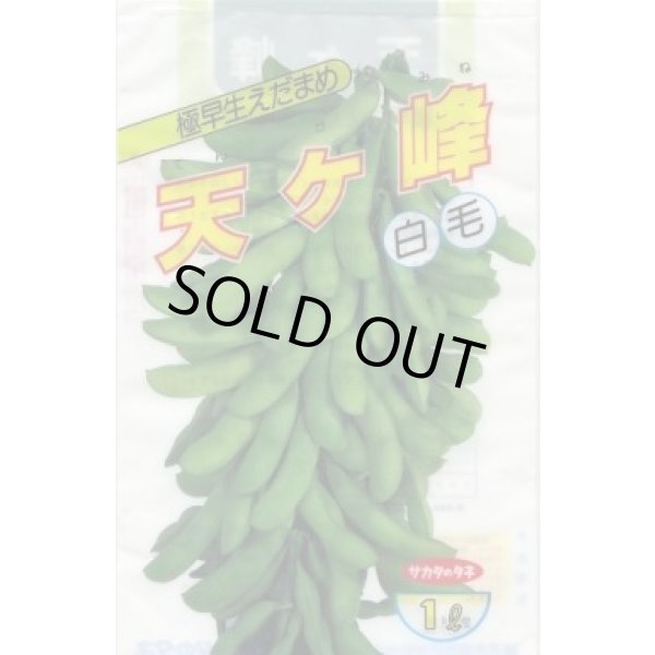 画像1: [枝豆] 天ヶ峰 1L (株)サカタのタネ (1)
