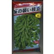 画像1: [枝豆]　夏の装い　1L　(株)サカタのタネ (1)