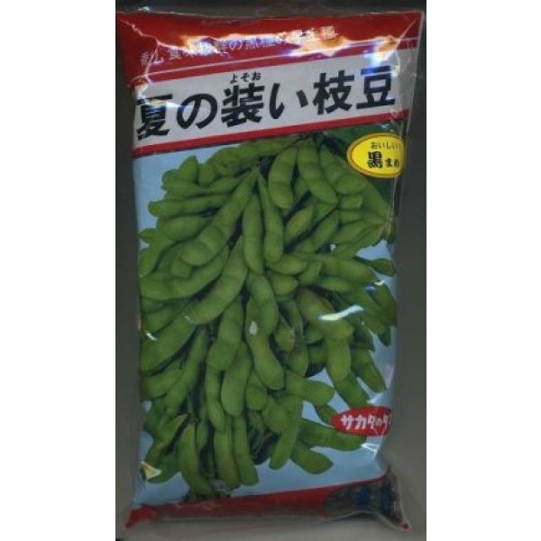 画像1: [枝豆] 夏の装い 1L (株)サカタのタネ (1)