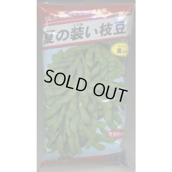 画像1: [枝豆]　夏の装い　1L　(株)サカタのタネ (1)