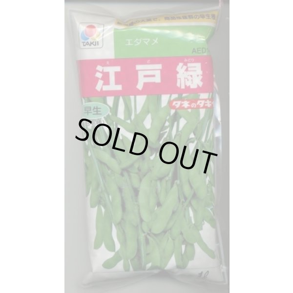 画像1: [枝豆]　江戸緑枝豆　1L　タキイ種苗 (1)