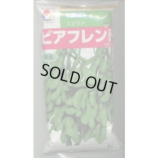 画像1: [枝豆]　ビアフレンド　1L　タキイ種苗(株) (1)