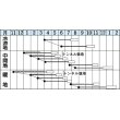 画像2: [シーダー種子]　人参　DR・カロテン 　1粒×6cm間隔　 (2)