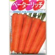 画像2: [シーダー種子]　にんじん　ベーターリッチ　1粒×6cm間隔 (2)