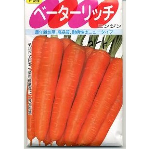 画像2: [シーダー種子]　にんじん　ベーターリッチ　1粒×6cm間隔 (2)