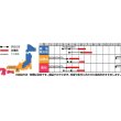 画像3: [大根]　送料無料！　天宝　2ｄｌ　サカタ交配　 (3)