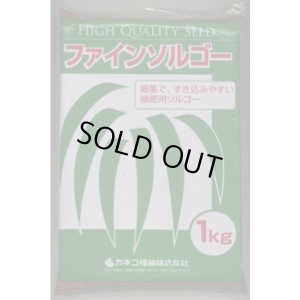 画像1: [緑肥]　ソルガム　ファインソルゴー　(イネ科)1kg　カネコ種苗(株) (1)