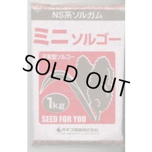 画像: [緑肥]　ソルガム　ミニソルゴー　1kg　カネコ種苗(株)