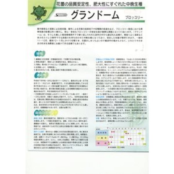 画像2: 送料無料　[ブロッコリー]　グランドーム　ぺレット種子　125粒　(株)サカタのタネ   実咲550（003176） (2)