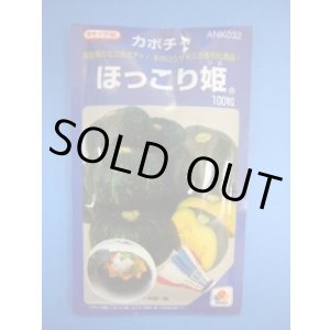 画像: 送料無料　[かぼちゃ]　ほっこり姫　100粒　タキイ種苗(株)