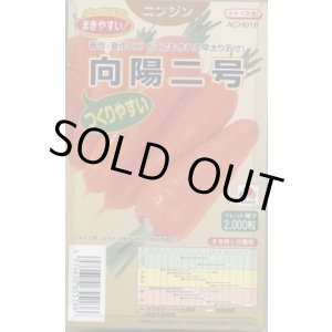 画像: 送料無料 [人参] 向陽二号 ペレット種子 2000粒 タキイ種苗(株)