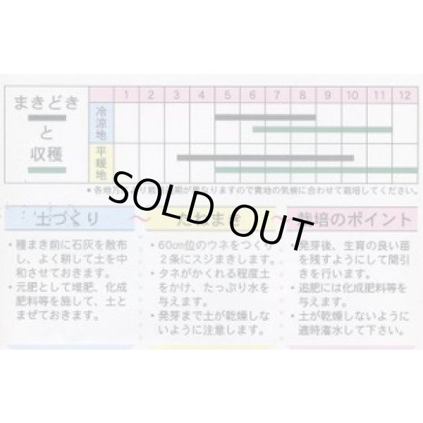 画像2: 送料無料　岡ひじき　10ml　(株)タカヤマシード (2)