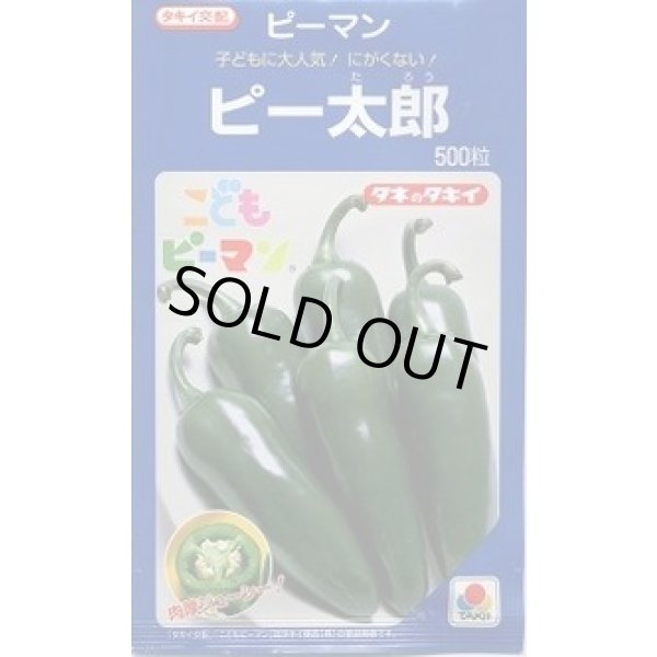 画像1: 送料無料　[ピーマン]　こどもピーマン　ピー太郎　500粒　タキイ種苗(株) (1)