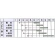 画像3: 送料無料　[かぼちゃ]　白い九重栗　9粒　カネコ交配 (3)