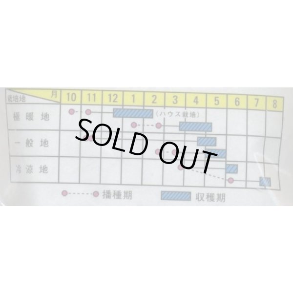 画像2: 送料無料　[えんどう]　つるなし　スナック2号　1L　(株)サカタのタネ (2)