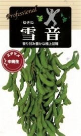 画像: 送料無料　[枝豆]　雪音　70ml(およそ130粒)　雪印種苗(株)