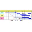 画像2: 野菜種　人参　べにもり五寸　２ｄｌ　渡辺交配 (2)