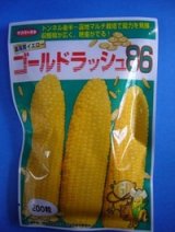 画像: 送料無料 [とうもろこし] ゴールドラッシュ86 200粒 (株)サカタのタネ