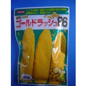 画像: 送料無料 [とうもろこし] ゴールドラッシュ86 200粒 (株)サカタのタネ
