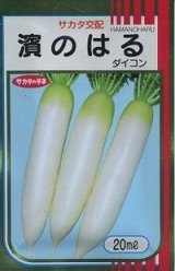 画像: 送料無料　[大根]　濱のはる　20ml　(株)サカタのタネ