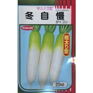画像: 送料無料　大根　冬自慢　20ml　(株)サカタのタネ