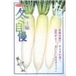 画像2: 送料無料　大根　冬自慢　2dl　(株)サカタのタネ (2)