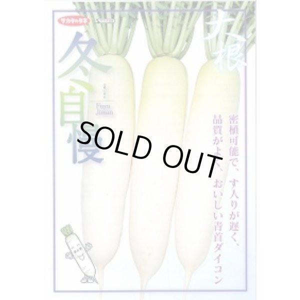 画像2: 送料無料　大根　冬自慢　2dl　(株)サカタのタネ (2)
