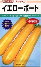 画像: 送料無料　[ズッキーニ]　イエローボート　100粒　カネコ交配