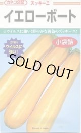 画像: 送料無料　[ズッキーニ]　イエローボート　100粒　カネコ種苗（株）